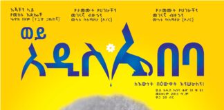 hailu mergia